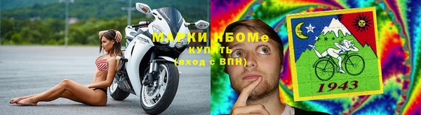 стафф Алзамай