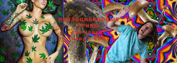 стафф Алзамай