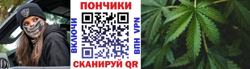 Шишки марихуана VHQ  Зеленоградск 
